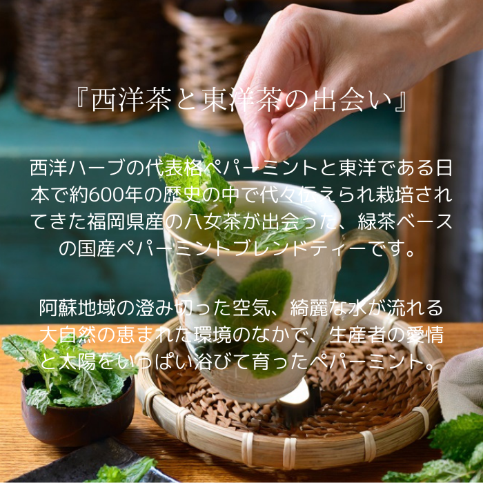 ペパーミントのお店ー国産ペパーミント×緑茶 鼻に抜けるミントの香り