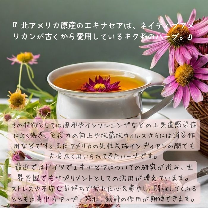 エキナセア茶 - 酒