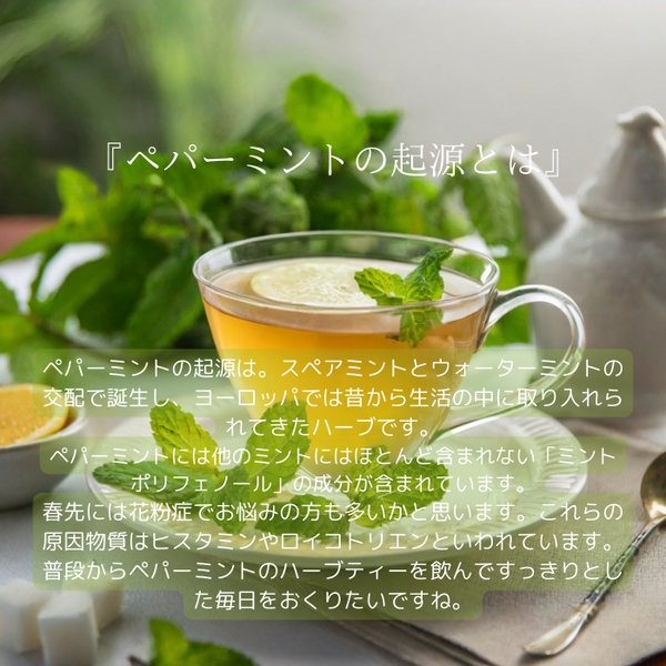 国産ペパーミント×緑茶  鼻に抜けるミントの香り 『かわせみの饗宴 』80g