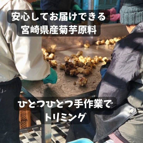 菊芋茶ティーパック 2g×25包 宮崎県産菊芋
