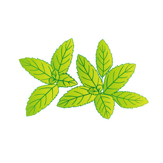 国産スペアミント×緑茶  すっきりとしたミントの風味  『真夏の夢』 80g